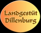 Landgestt Dillenburg Hessen